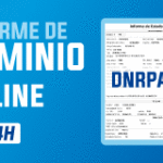 Pedir Informe de Dominio Online en 24hs