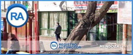 Registro Automotor 1 Mendoza: Turnos Y Tramites DNRPA